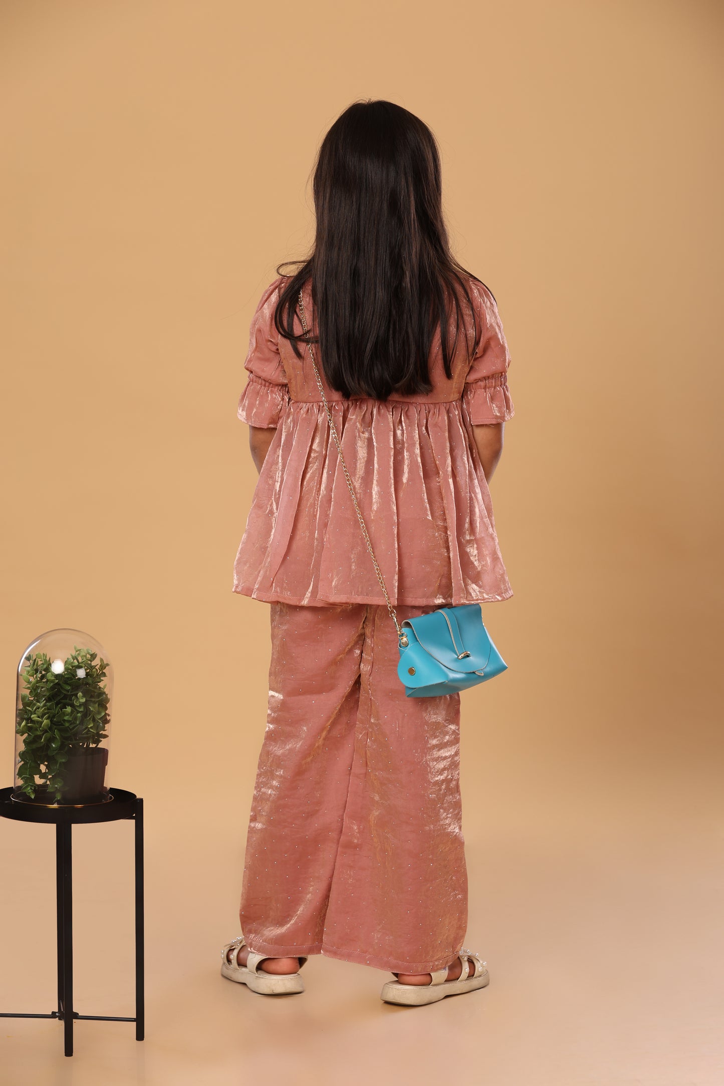 Puff Sleevees Co ord Set