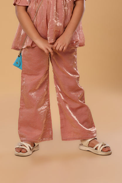 Puff Sleevees Co ord Set