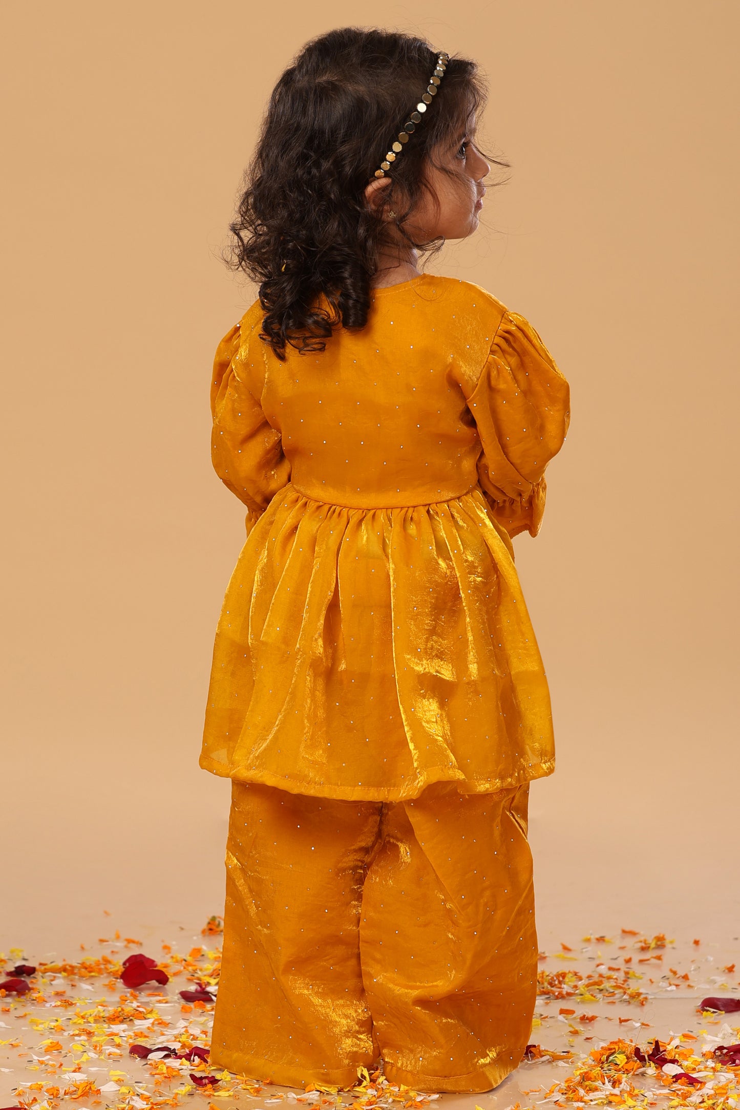 Puff Sleevees Co ord Set